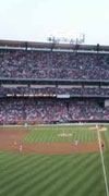 The Anaheim Angels Baseball Team