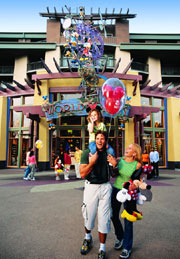 Disneyland Theme Park Ca