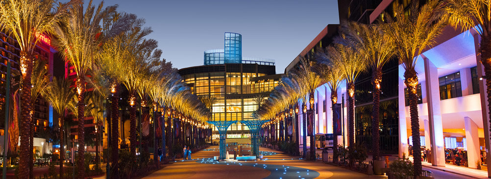 A well-lit exterior courtyard with palm trees and a modern glass facade in the background at evening.